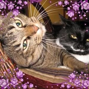 Meet your Posher, Sonia